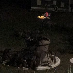 Meet your Posher, Nanci